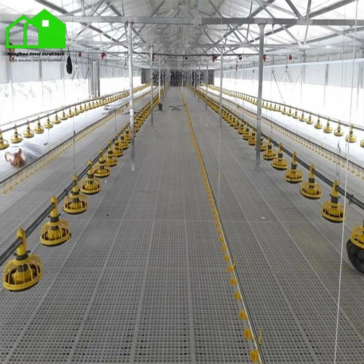 Chicken Farm Building