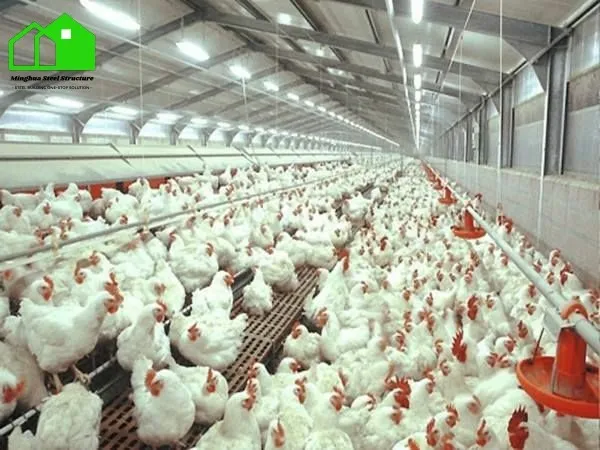 steel structure chicken house steel structure chicken house